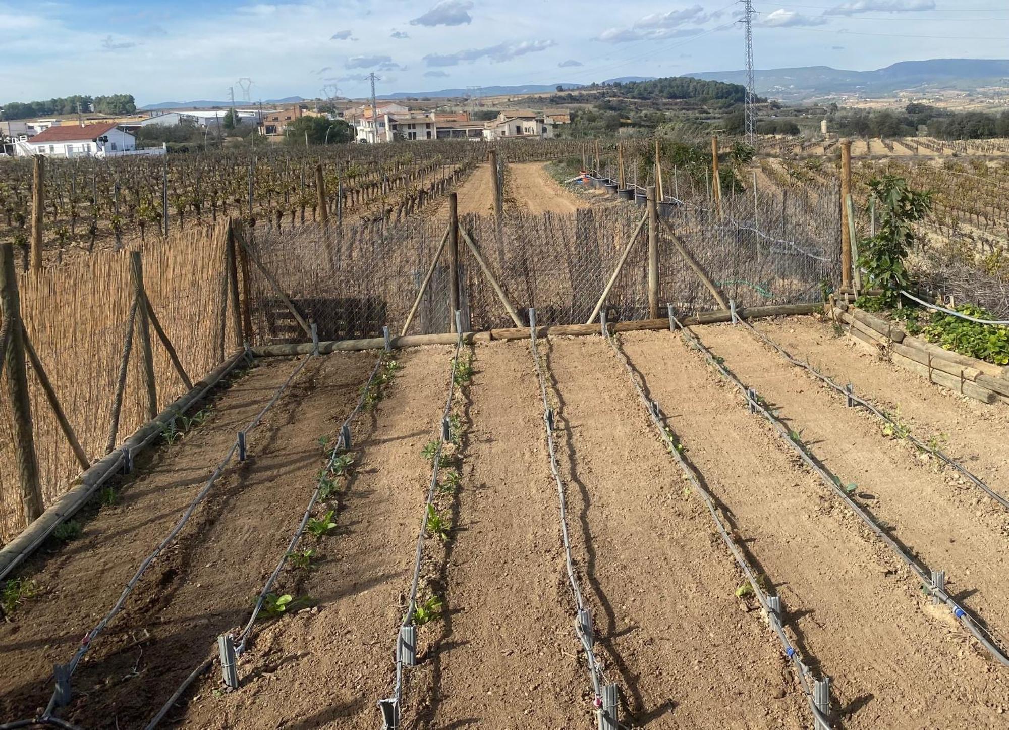 Cal Castla Villa La Granada Kültér fotó