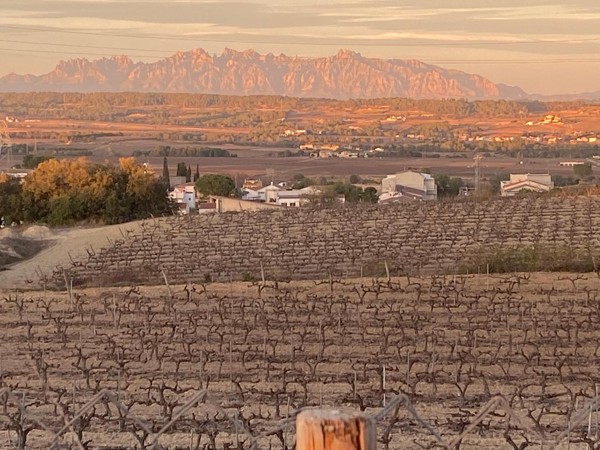 Cal Castla Villa La Granada Kültér fotó